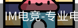 IM电竞